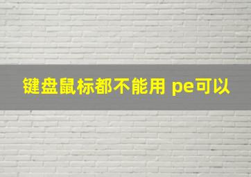 键盘鼠标都不能用 pe可以